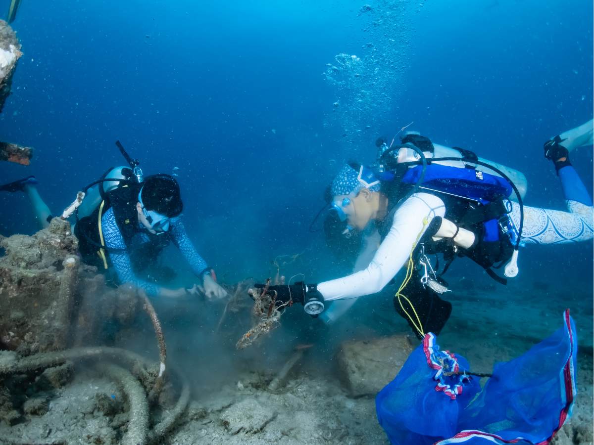 Spotlight Koh Tao 2025