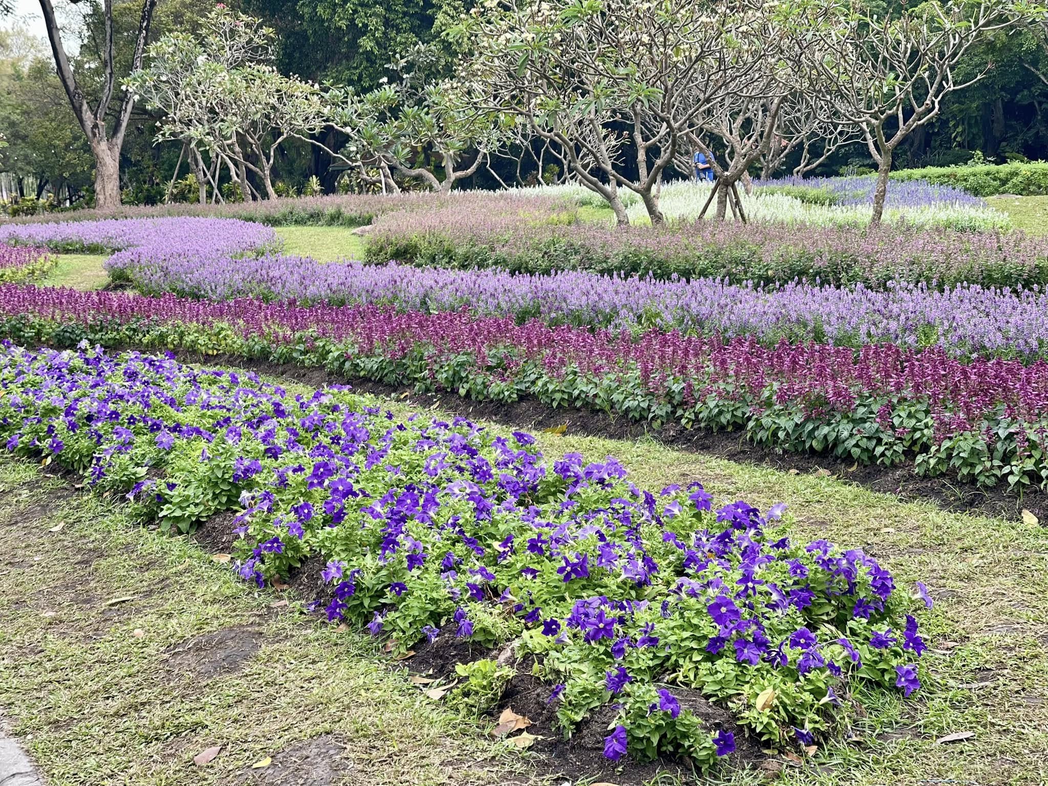 Rama 9 Park Flower Festival