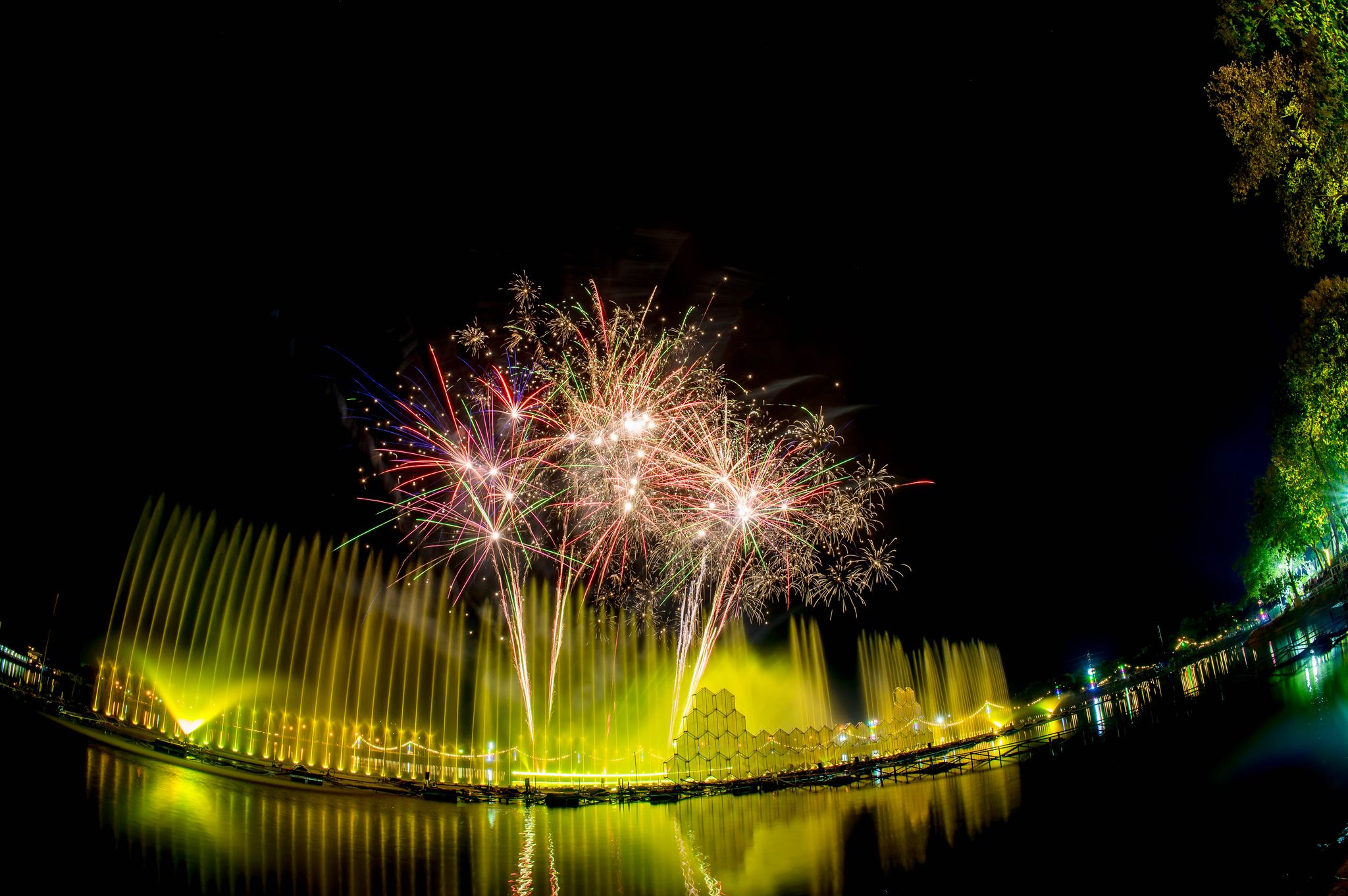 Chiang Mai flower festival 2025