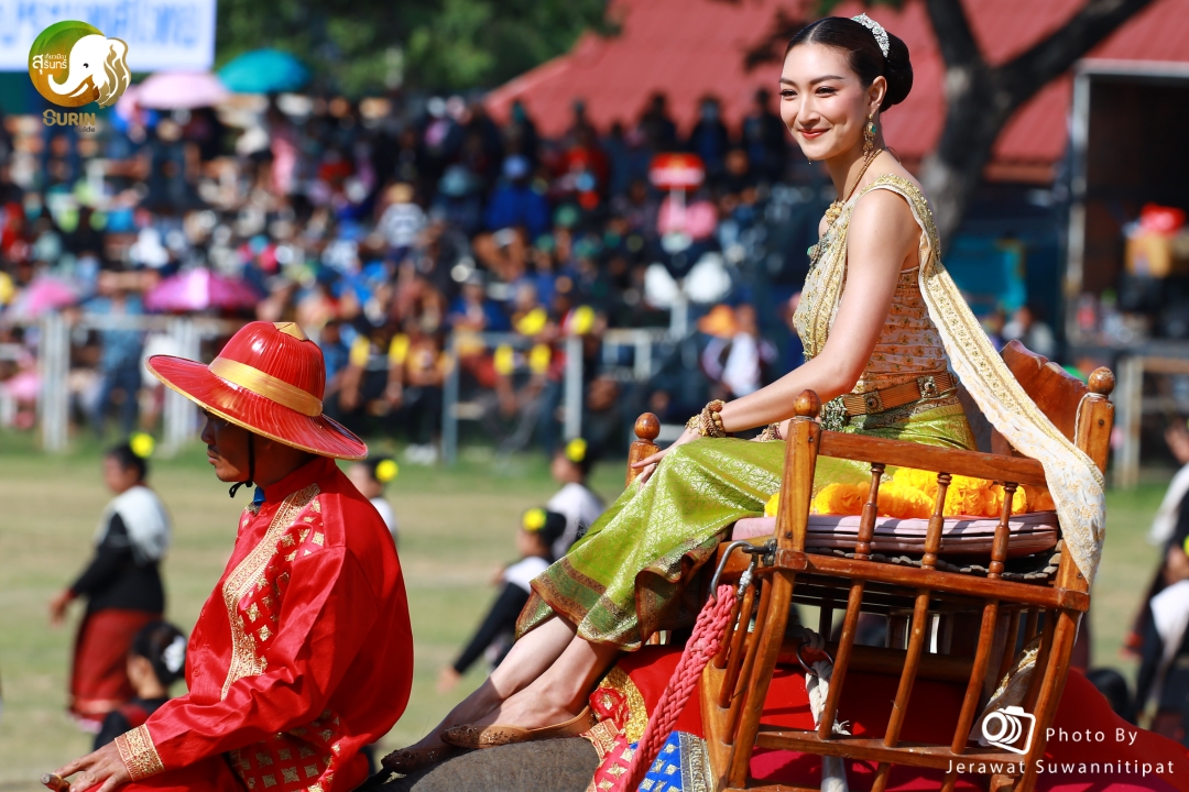 Surin Elephant Festival