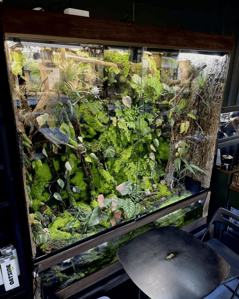 Bangkok International Exotic Plants Show and Sale