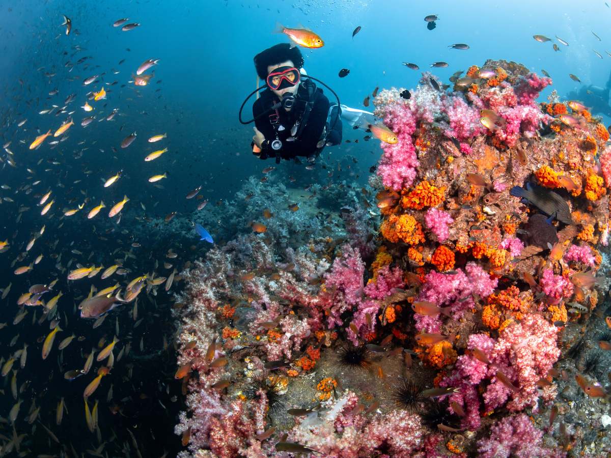 global wellness summit 2026